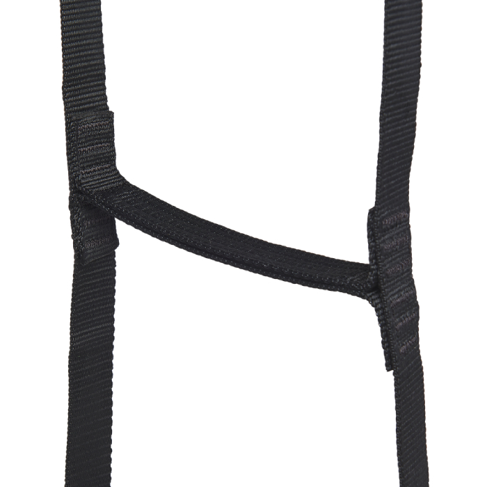 Black Diamond StepUp 6 Ladder