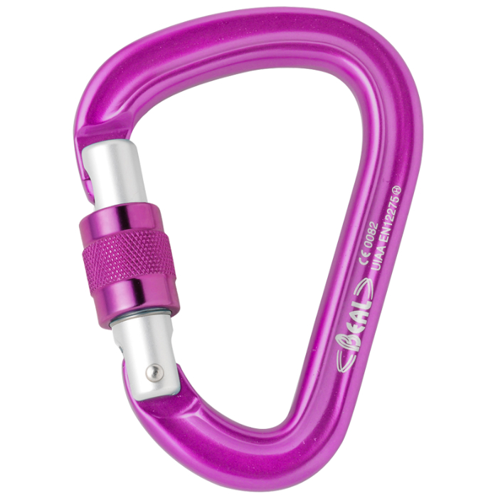 Beal Be Safe Carabiner