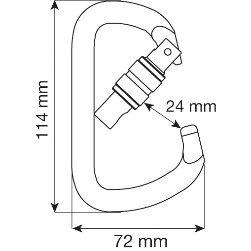 CAMP Steel D Pro Lock Carabiner