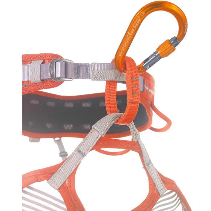 Camp Core Lock Carabiner