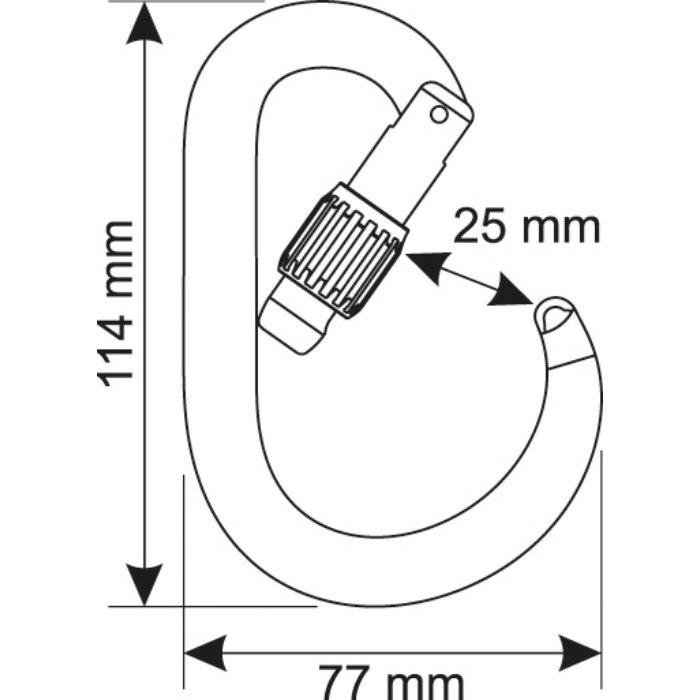 Camp Core Lock Carabiner