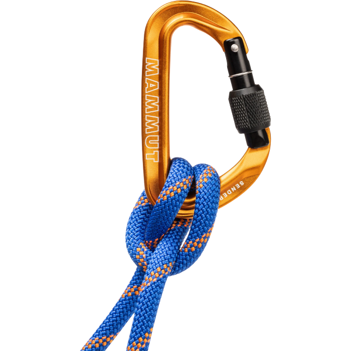 Mammut Sender Screwgate Carabiner