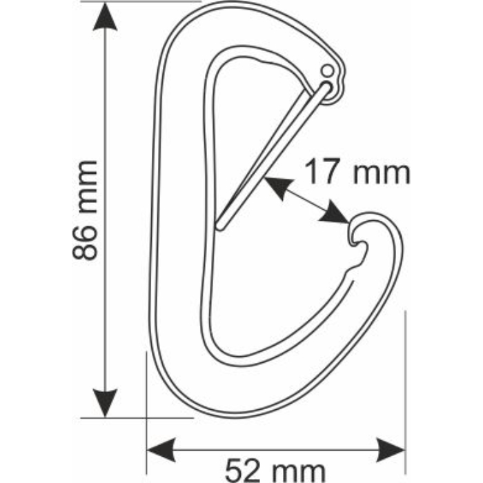 CAMP Nano 22 Carabiner