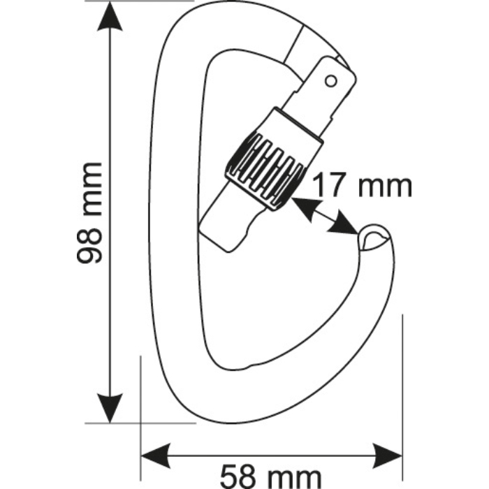 Camp Orbit Lock Carabiner