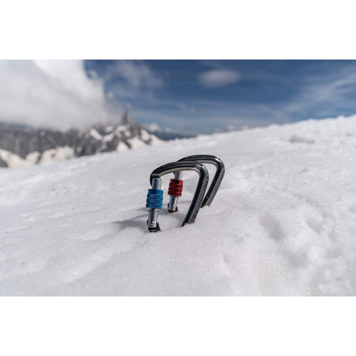 Psychi Screwgate Carabiner