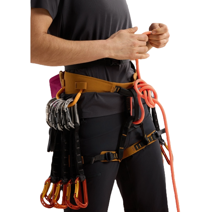 Arc'teryx AR 385a Harness