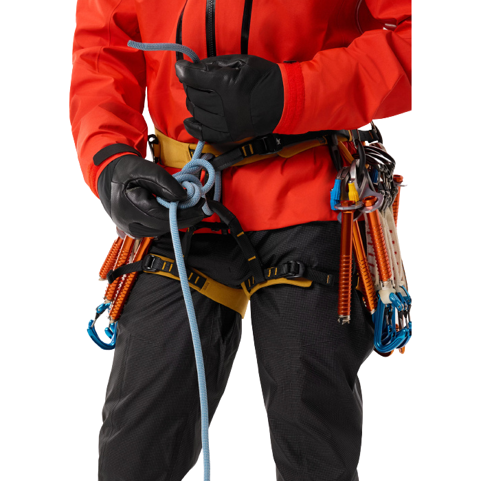 Arc'teryx AR 395a Harness
