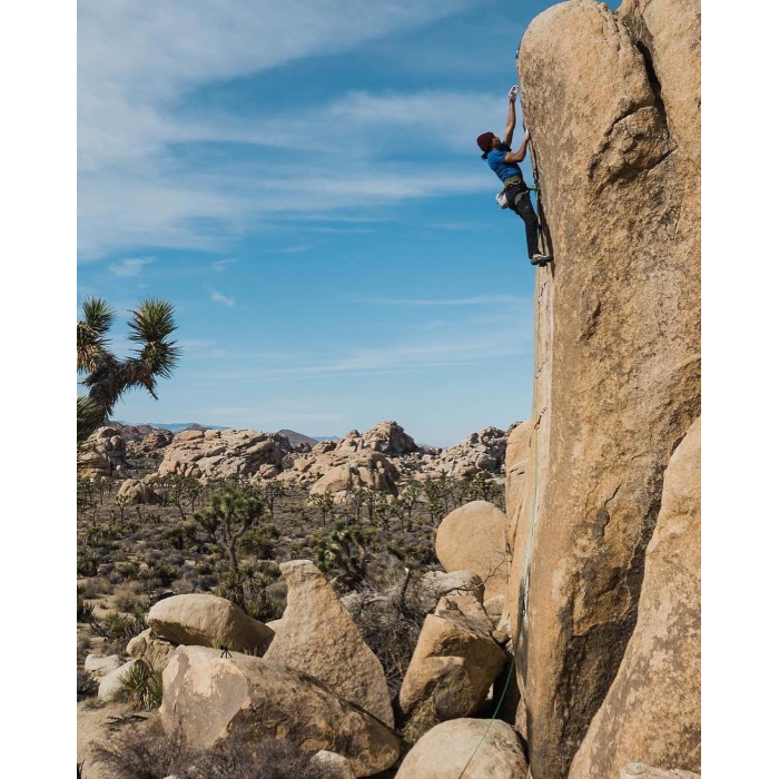 Arc'teryx AR 395a Harness