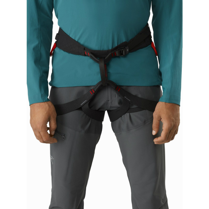 Arc'teryx C-Quence Men Harness