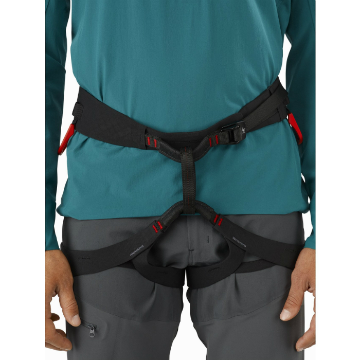 Arc'teryx C-Quence Men Harness