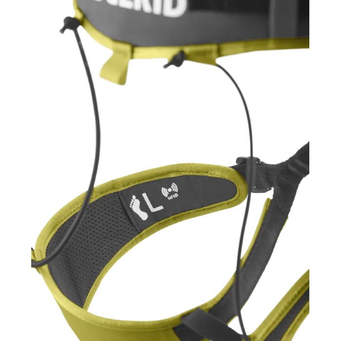 Edelrid Zack Gym Harness