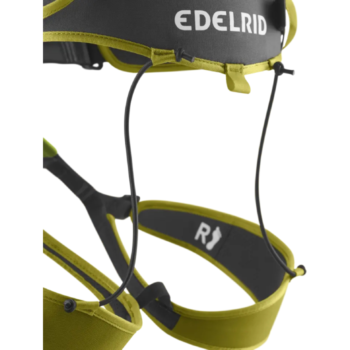 Edelrid Zack Gym Harness