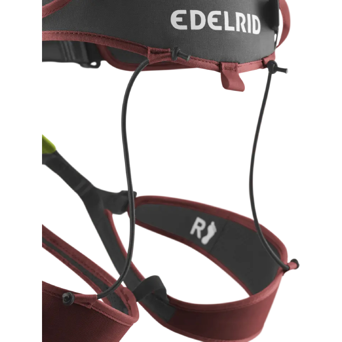 Edelrid Zack Gym Harness