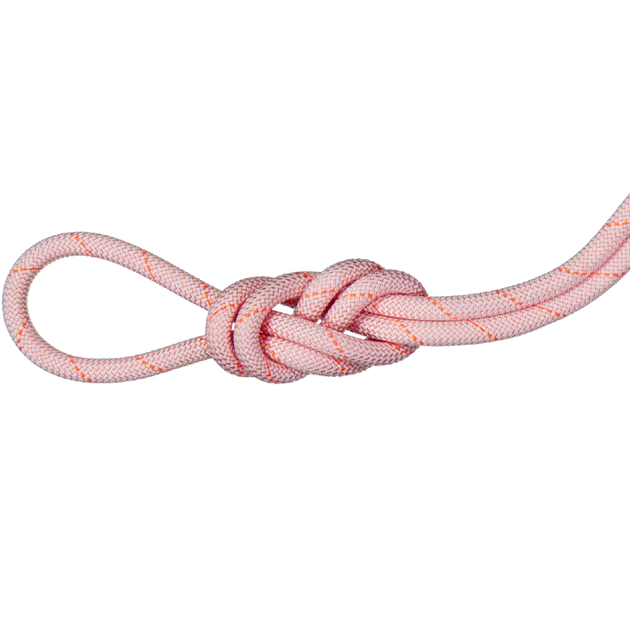 Mammut 9.9mm Gym Workhorse Classic Rope