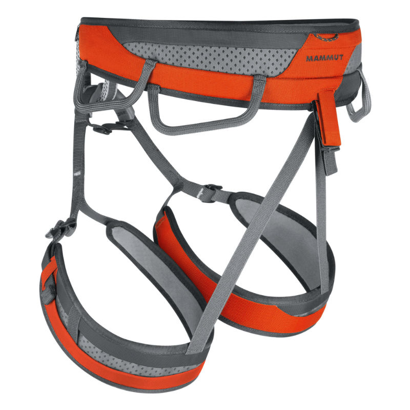 Mammut Ophir 3 Back