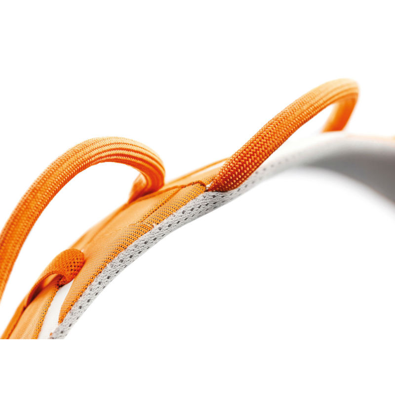 Petzl Hirundos