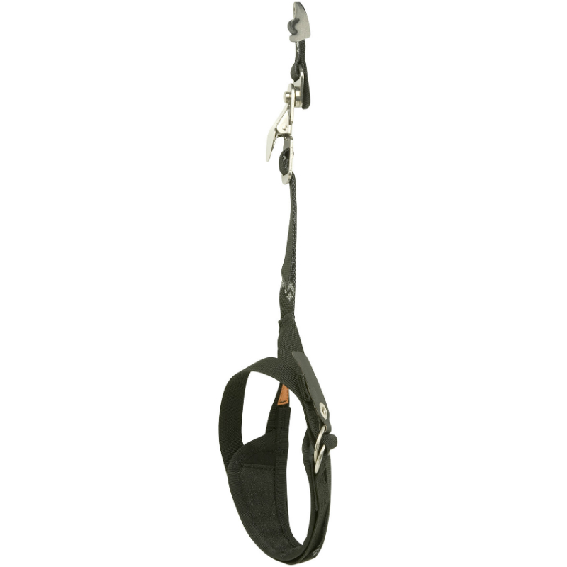 Black Diamond Cobra / Viper Android Leash