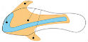 FHL –Flexor Hallucis Longus Technology FHL –Flexor Hallucis Longus Technology