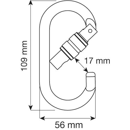 CAMP Steel Oval Pro Lock Carabiner