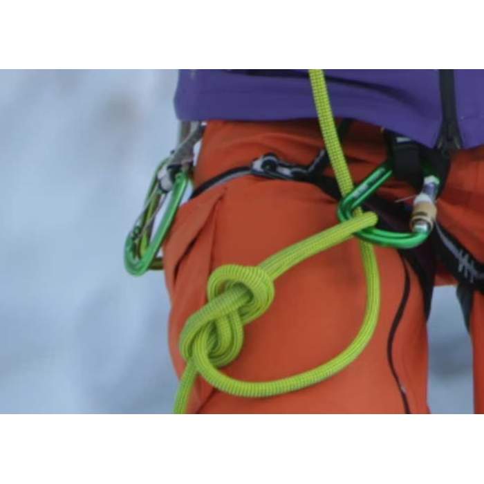 Salewa HMS Pro Carabiner