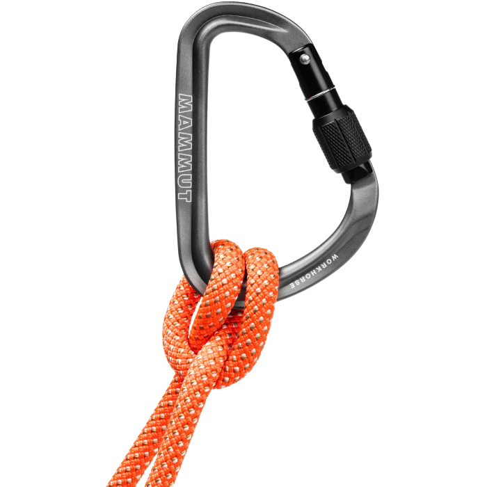 Mammut Workhorse HMS Screwgate Carabiner