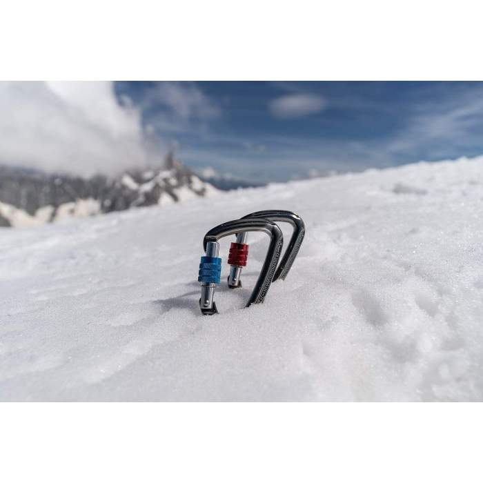 Psychi Screwgate Carabiner