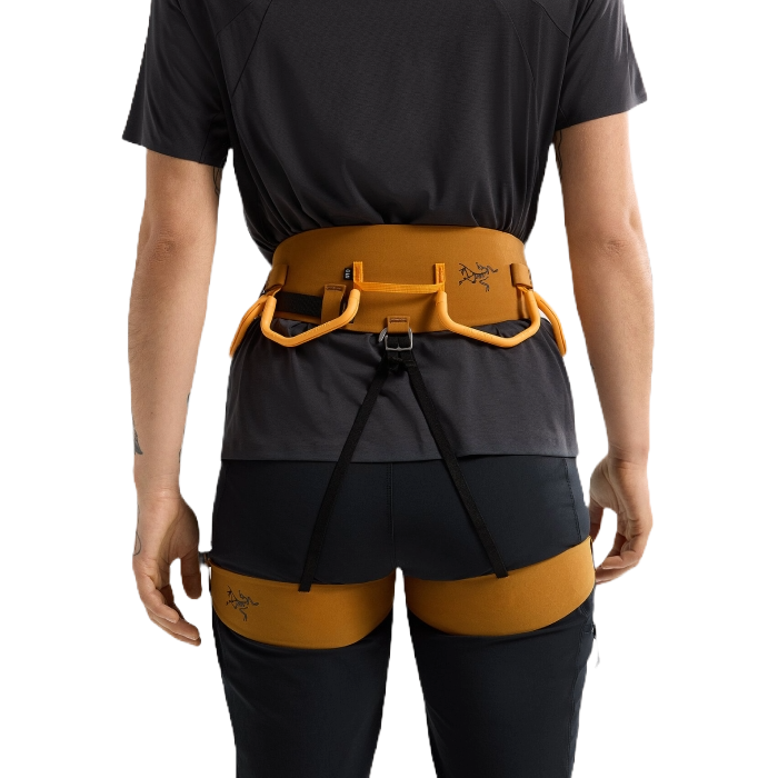 Arc'teryx AR 385a Harness