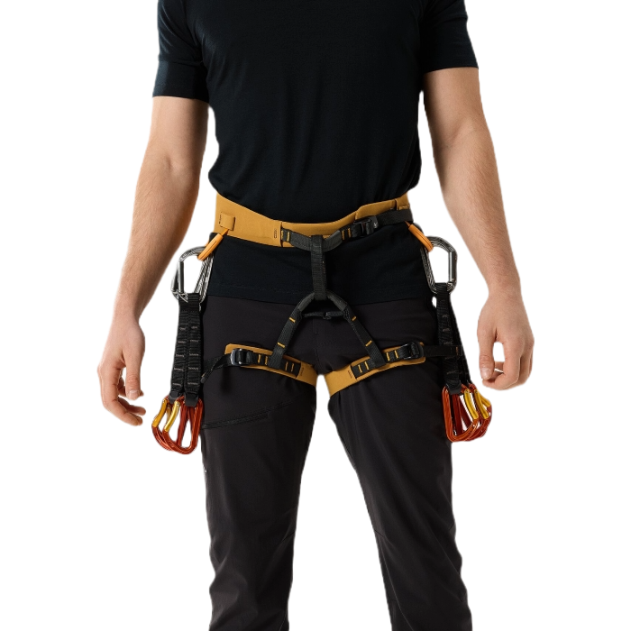 Arc'teryx AR 395a Harness