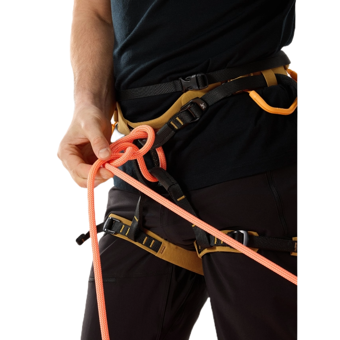 Arc'teryx AR 395a Harness