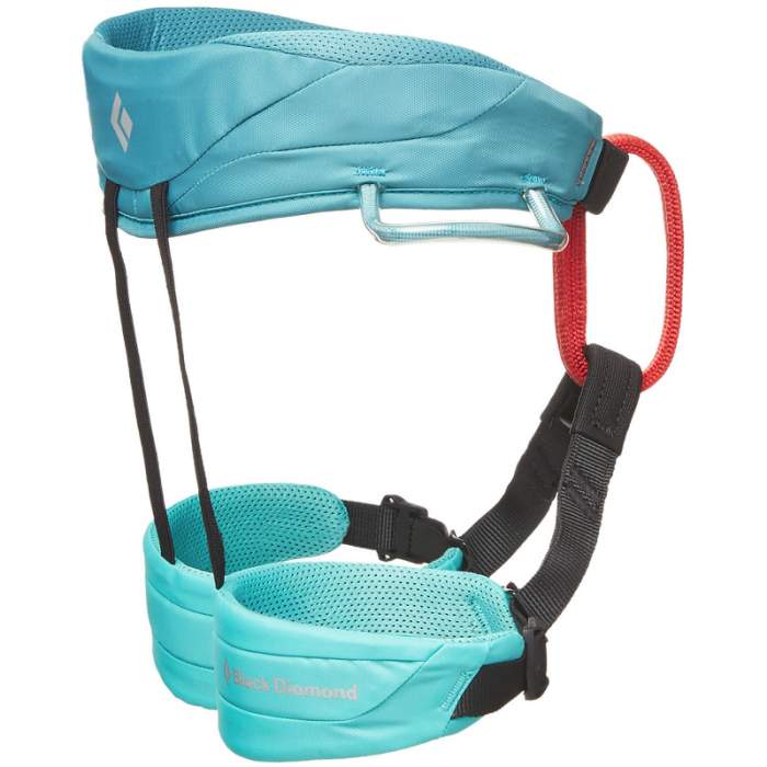 Black Diamond Momentum Kids Harness