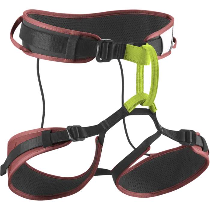 Edelrid Zack Gym Harness