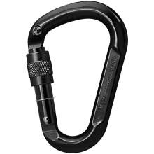 Alpedix Troja Carabiner