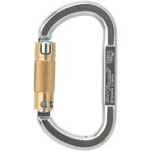 AustriAlpin Asymm Oval XL 2-way Autolock Carabiner