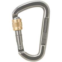 AustriAlpin D Asymm Screwlock Carabiner