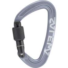 Salewa Ortles Screw Carabiner