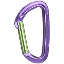 Wild Country Session Straight Carabiner
