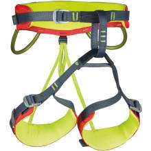 CAMP Energy JR Harness