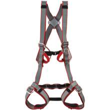 DMM Tomkitten Harness