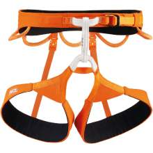 Petzl Hirundos Harness