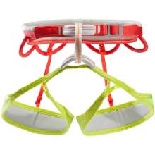 Simond Edge Harness
