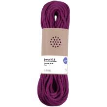 Gilmonte 10.5mm Jump Rope