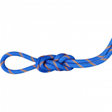 Mammut 9.0mm Alpine Sender Dry Rope