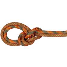 Mammut 9.5mm Crag Bipattern 2xDry Rope