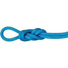 Mammut 9.9mm Gym Workhorse Dry Rope