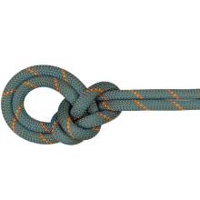 Mammut 9.9mm Crag Workhorse 2xDry Rope