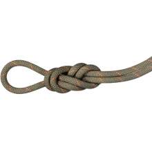 Mammut 9.9mm Gym Workhorse Classic Rope