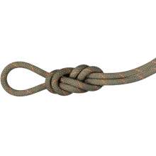 Mammut 9.9mm Gym Workhorse Classic Rope