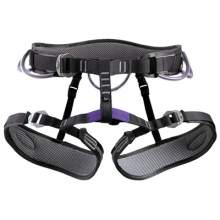 DMM Puma Front View